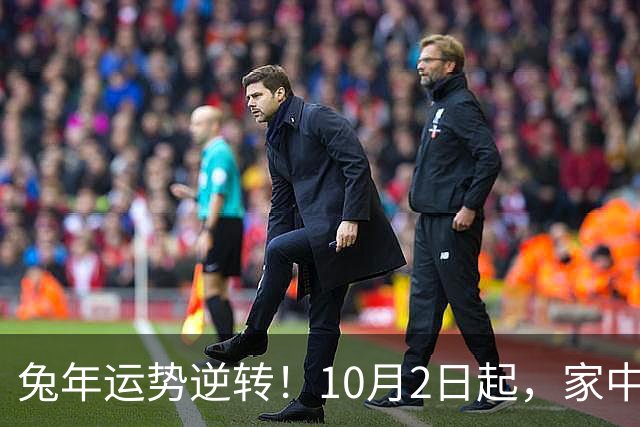 兔年运势逆转！10月2日起，家中静候幸运降临，迈向翻身之路！