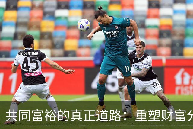 共同富裕的真正道路：重塑财富分配机制
